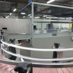 Automatic Depalletizer belt